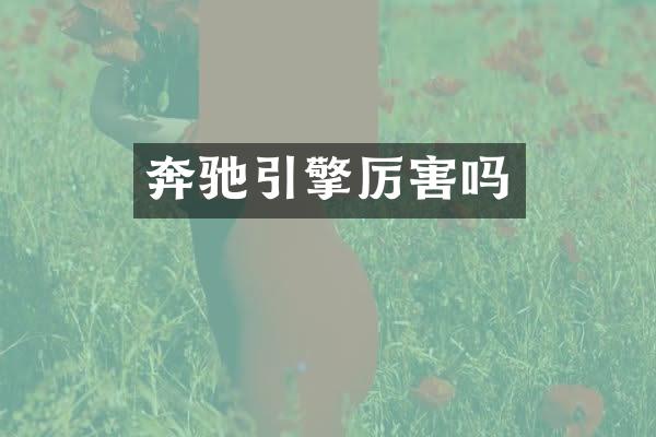 奔驰引擎厉害吗