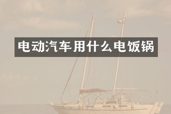 电动汽车用什么电饭锅