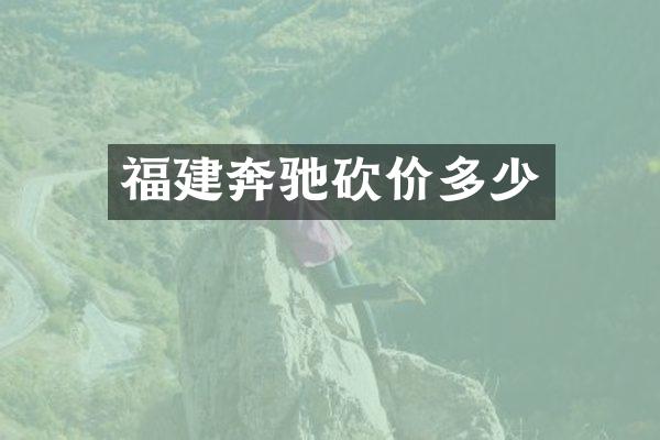 福建奔驰砍价多少