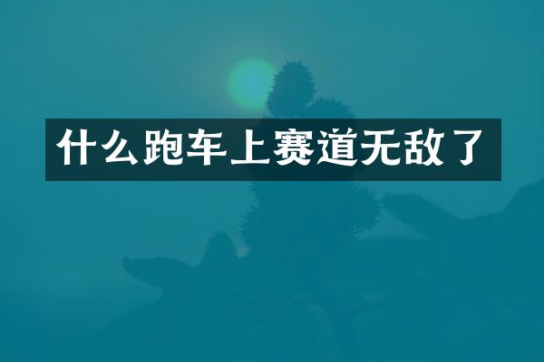 什么跑车上赛道无敌了