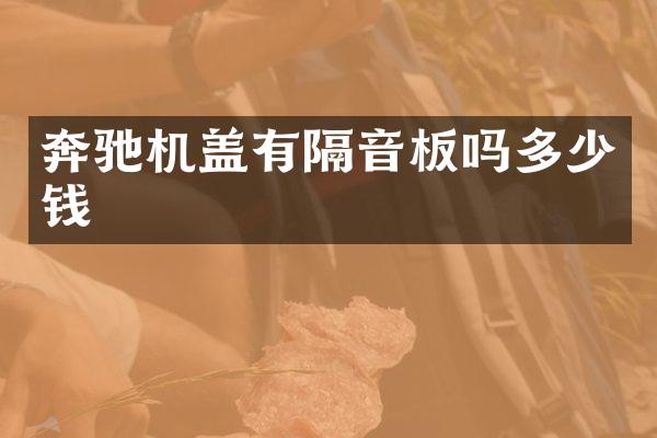 奔驰机盖有隔音板吗多少钱