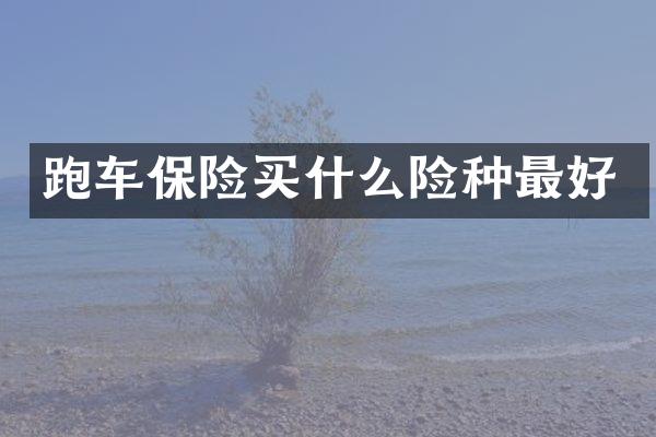 跑车保险险种最好