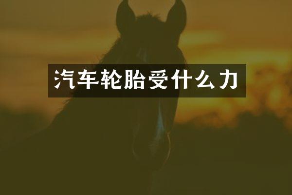 汽车轮胎受什么力