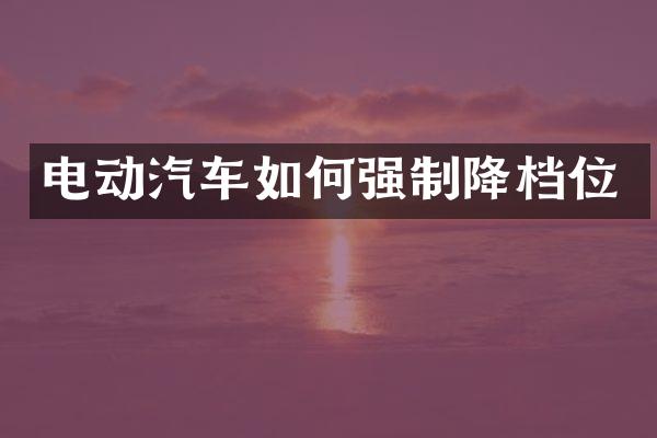 电动汽车如何强制降档位