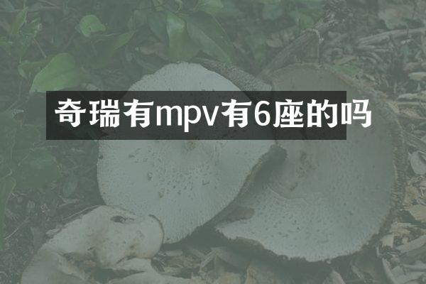 奇瑞有mpv有6座的吗