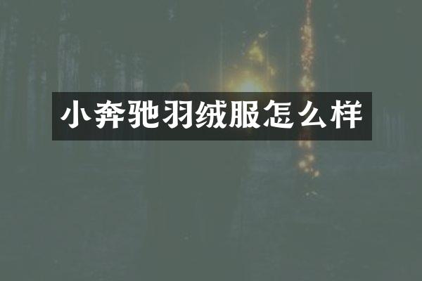 小奔驰羽绒服怎么样