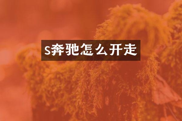 s奔驰怎么开走