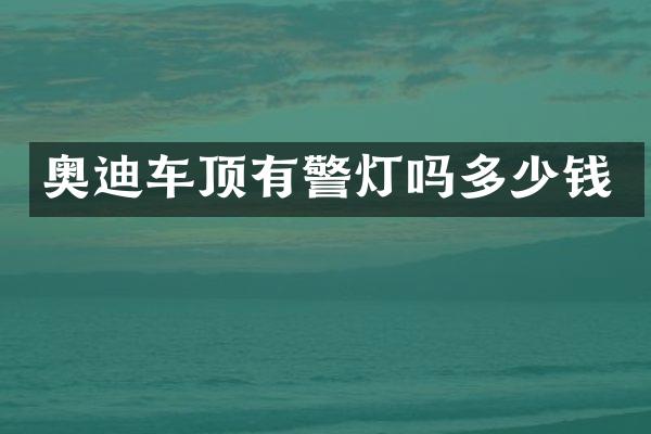 奥迪车顶有警灯吗多少钱