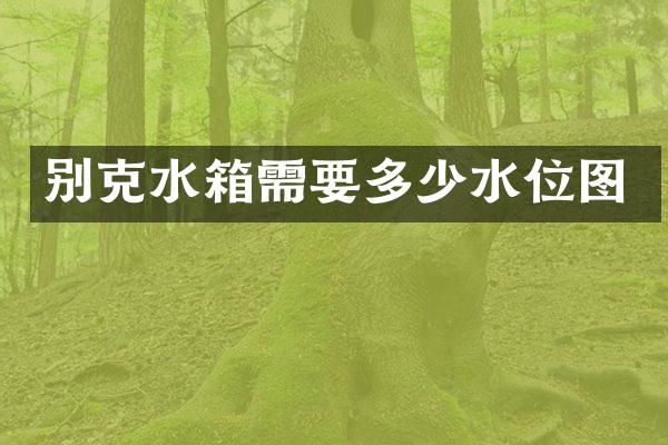 别克水箱需要多少水位图