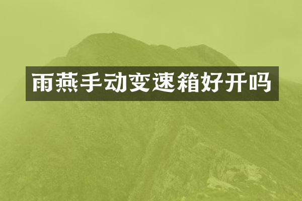 雨燕手动变速箱好开吗