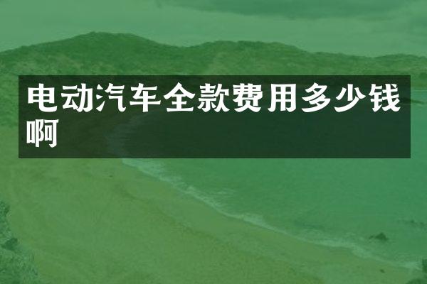 电动汽车全款费用多少钱啊