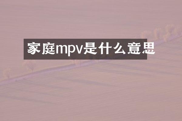 家庭mpv是什么意思