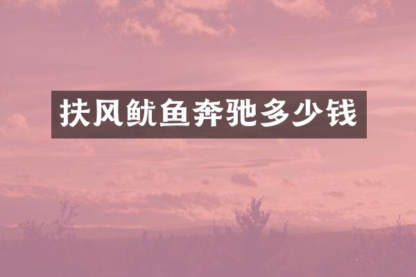 扶风鱿鱼奔驰多少钱