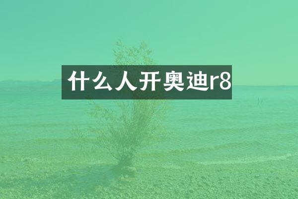 什么人开奥迪r8