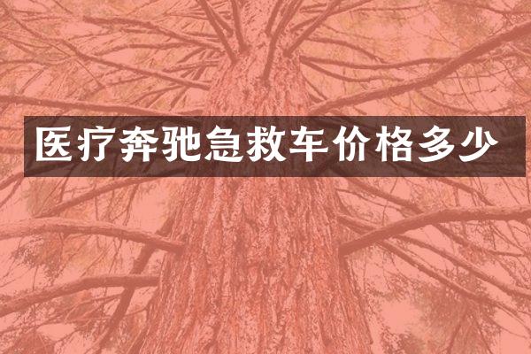 医疗奔驰急救车价格多少
