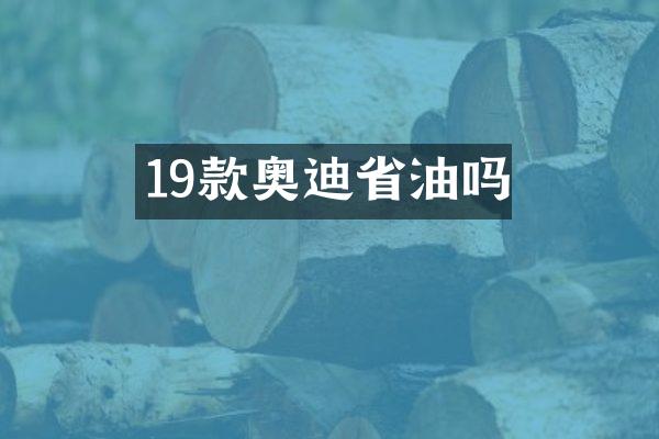 19款奥迪省油吗