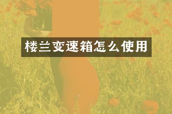 楼兰变速箱怎么使用