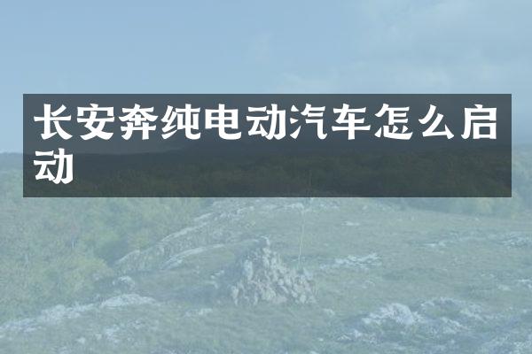长安奔纯电动汽车怎么启动