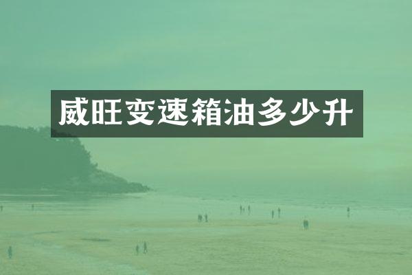 威旺变速箱油多少升