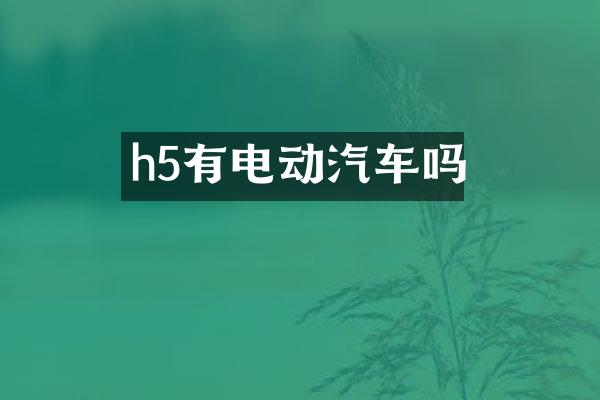h5有电动汽车吗