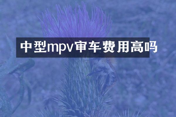 中型mpv审车费用高吗