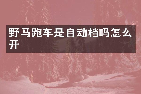 野马跑车是自动档吗怎么开
