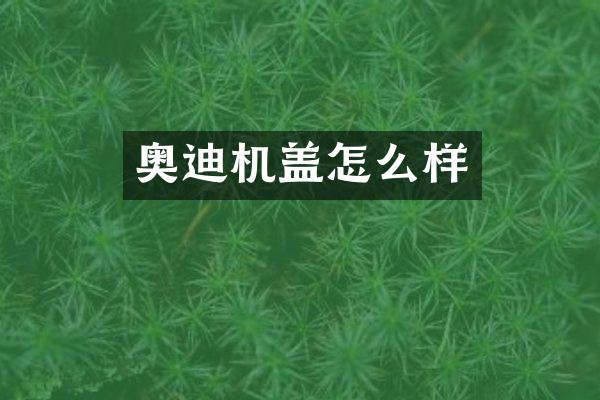 奥迪机盖怎么样