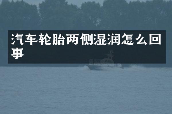 汽车轮胎两侧湿润怎么回事