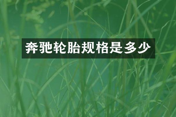 奔驰轮胎规格是多少
