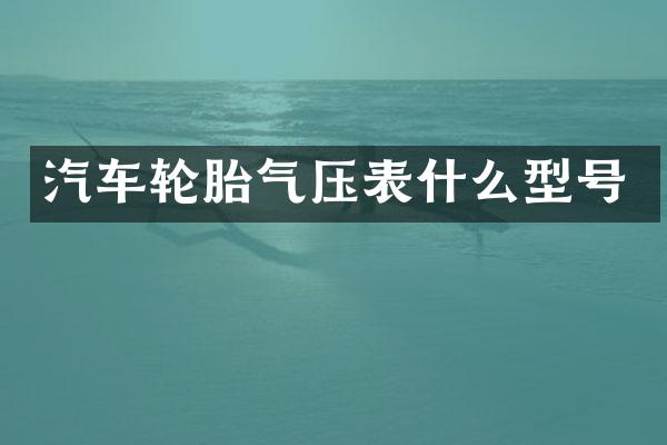 汽车轮胎气压表什么型号