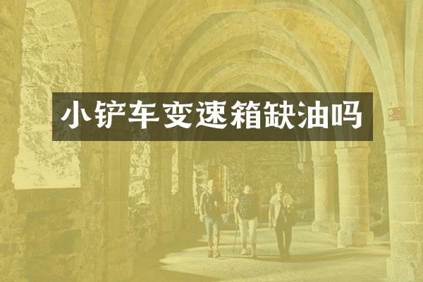 小铲车变速箱缺油吗