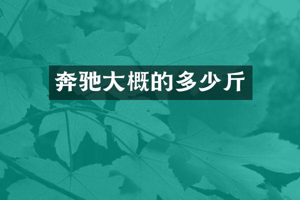 奔驰大概的多少斤