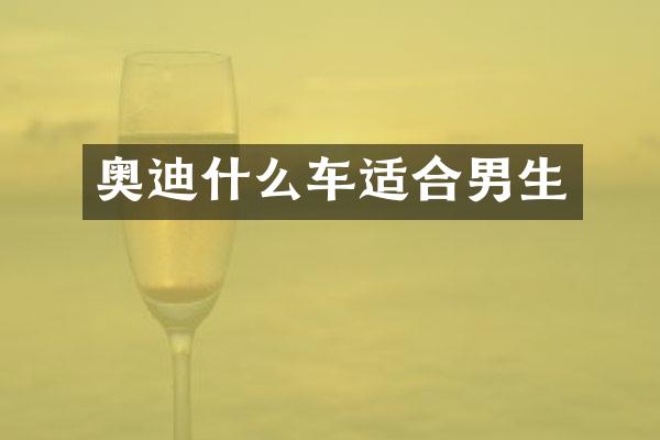 奥迪什么车适合男生