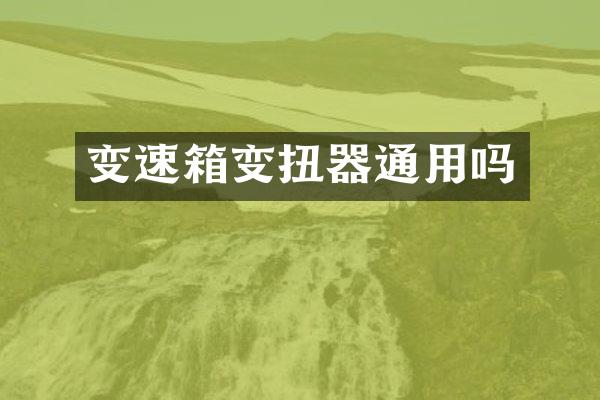 变速箱变扭器通用吗