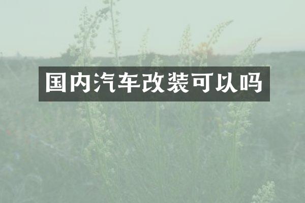 国内汽车改装可以吗