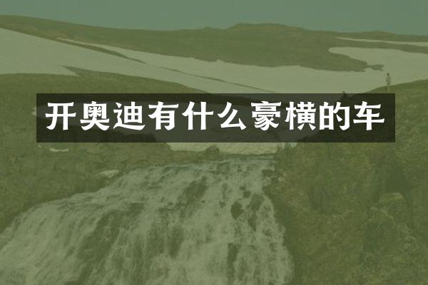 开奥迪有什么豪横的车