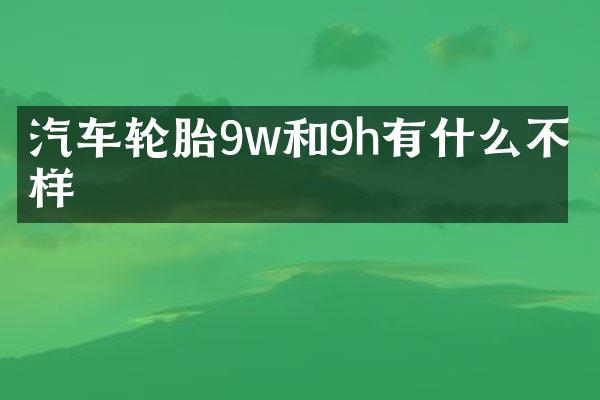 汽车轮胎9w和9h有什么不一样
