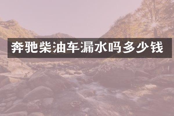 奔驰柴油车漏水吗多少钱