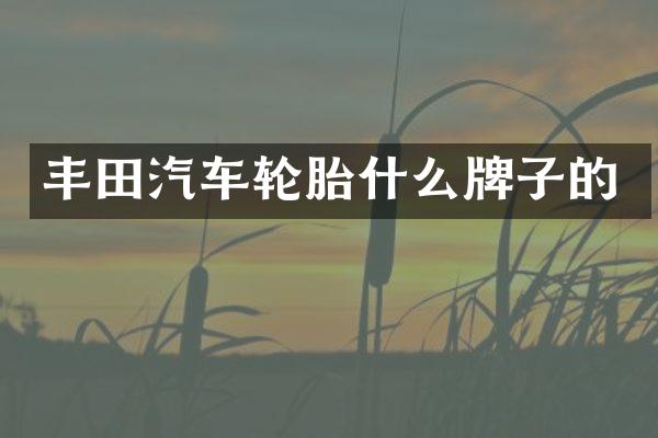 丰田汽车轮胎什么牌子的