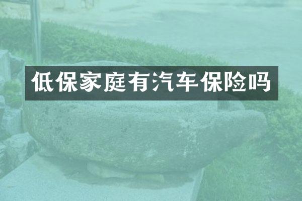 低保家庭有汽车保险吗