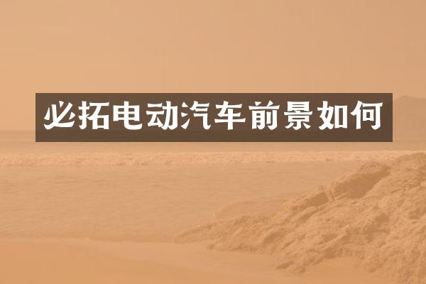 必拓电动汽车前景如何