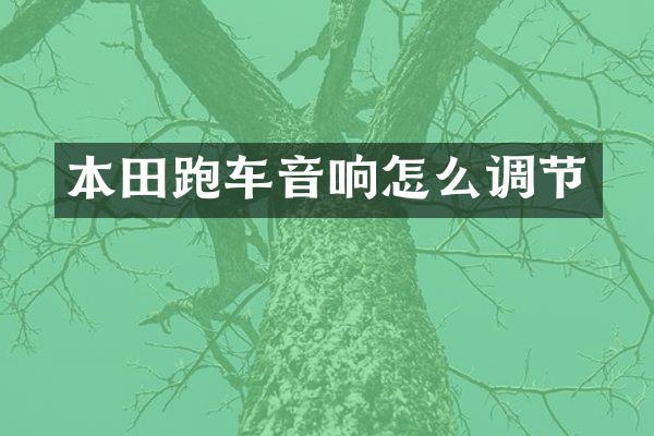 本田跑车音响怎么调节