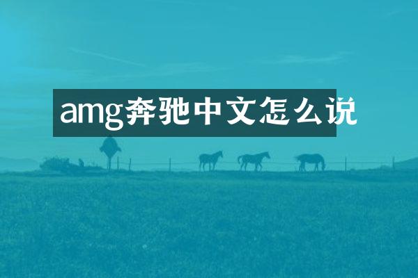amg奔驰中文怎么说