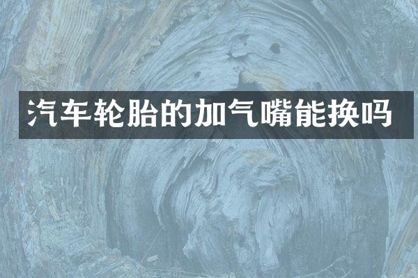 汽车轮胎的加气嘴能换吗