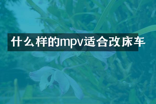 什么样的mpv适合改床车