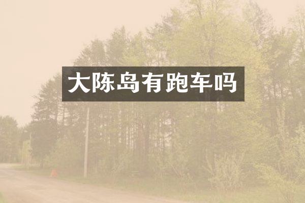 大陈岛有跑车吗