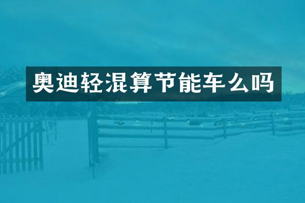 奥迪轻混算节能车么吗