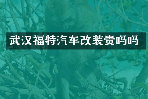 武汉福特汽车改装贵吗吗
