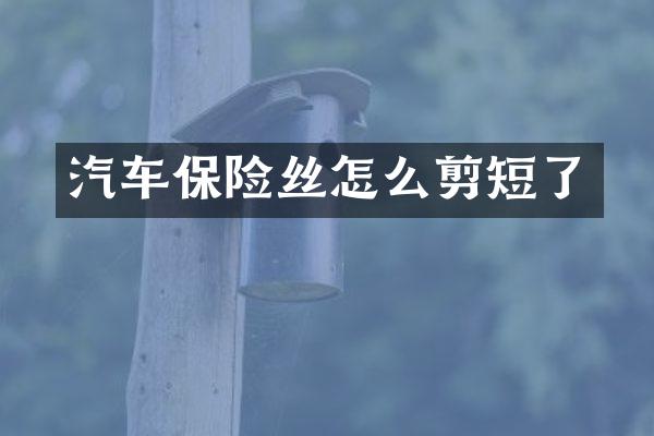 汽车保险丝怎么剪短了