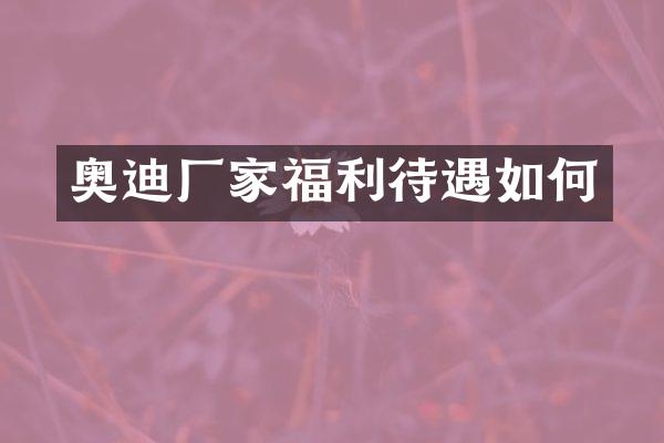 奥迪厂家福利待遇如何